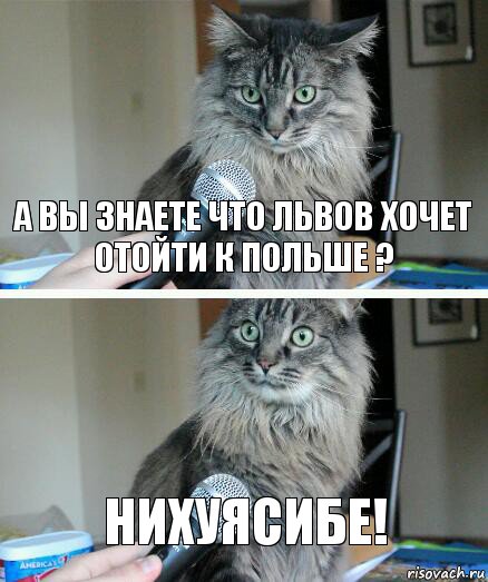 а вы знаете что Львов хочет отойти к польше ? Нихуясибе!, Комикс  кот с микрофоном