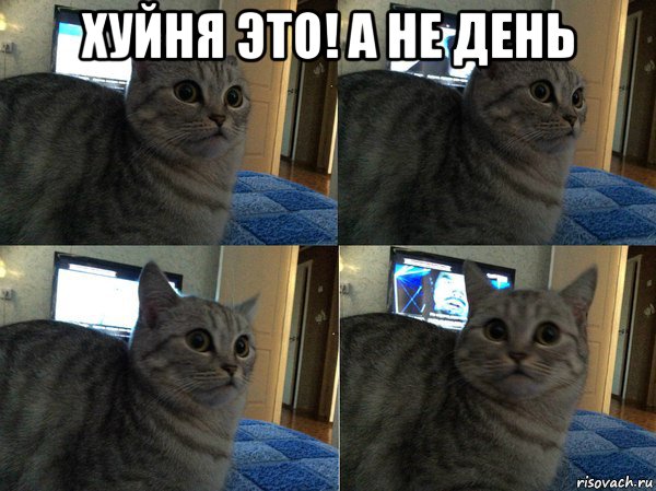 хуйня это! а не день 