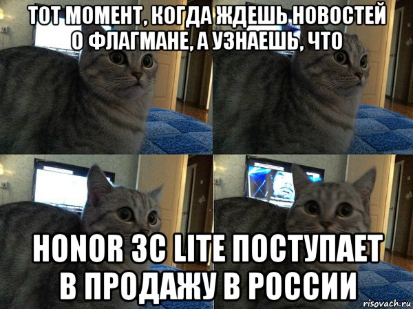 тот момент, когда ждешь новостей о флагмане, а узнаешь, что honor 3c lite поступает в продажу в россии, Мем  Кот в шоке