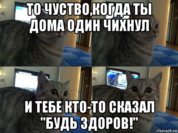 то чуство,когда ты дома один чихнул и тебе кто-то сказал "будь здоров!", Мем  Кот в шоке