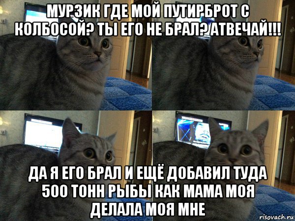 мурзик где мой путирброт с колбосой? ты его не брал? атвечай!!! да я его брал и ещё добавил туда 500 тонн рыбы как мама моя делала моя мне