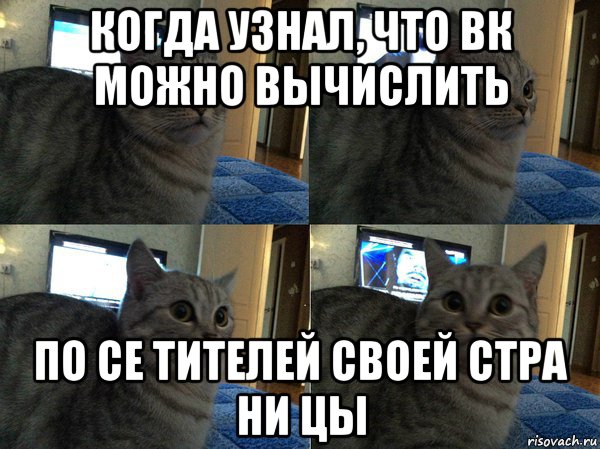 когда узнал, что вк можно вычислить по се тителей своей стра ни цы, Мем  Кот в шоке