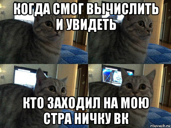 когда смог вычислить и увидеть кто заходил на мою стра ничку вк, Мем  Кот в шоке