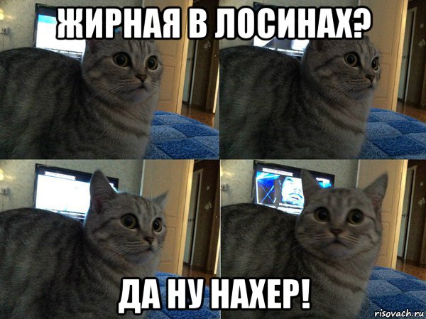 жирная в лосинах? да ну нахер!