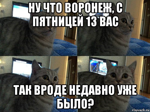 ну что воронеж, с пятницей 13 вас так вроде недавно уже было?, Мем  Кот в шоке