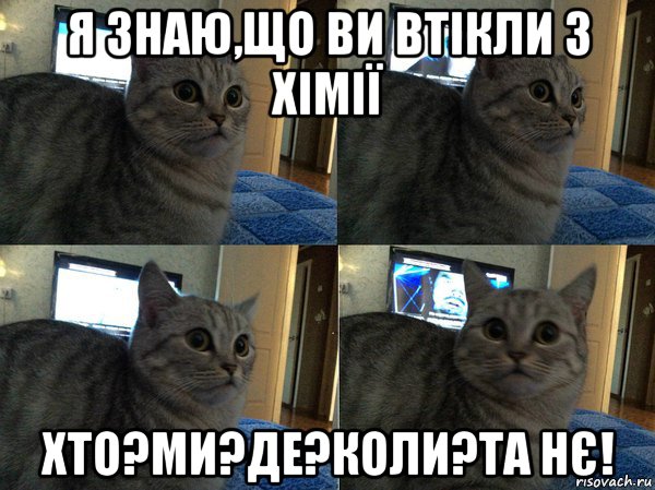 я знаю,що ви втікли з хімії хто?ми?де?коли?та нє!, Мем  Кот в шоке