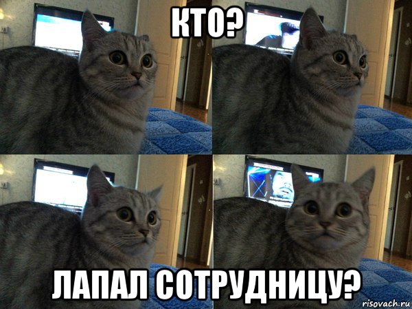 кто? лапал сотрудницу?