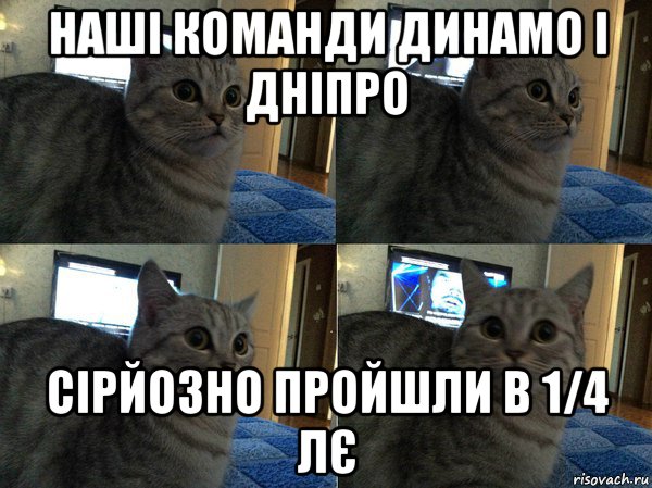 наші команди динамо і дніпро сірйозно пройшли в 1/4 лє, Мем  Кот в шоке