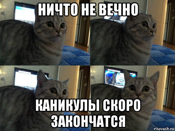 ничто не вечно каникулы скоро закончатся