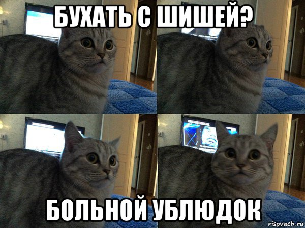 бухать с шишей? больной ублюдок