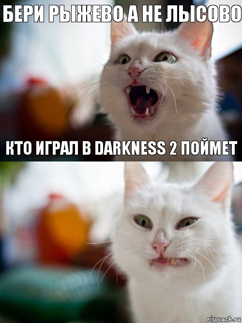 бери рыжево а не лысово кто играл в darkness 2 поймет, Комикс   Котэ предупреждал