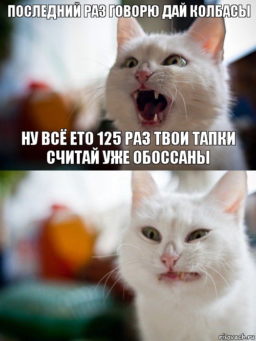 последний раз говорю дай колбасы ну всё ето 125 раз твои тапки считай уже обоссаны