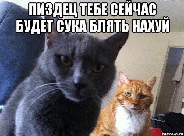 пиздец тебе сейчас будет сука блять нахуй , Мем  Два котэ