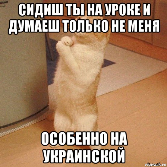 сидиш ты на уроке и думаеш только не меня особенно на украинской, Мем  котэ молится