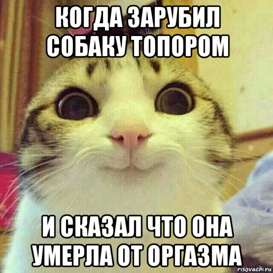 когда зарубил собаку топором и сказал что она умерла от оргазма, Мем       Котяка-улыбака