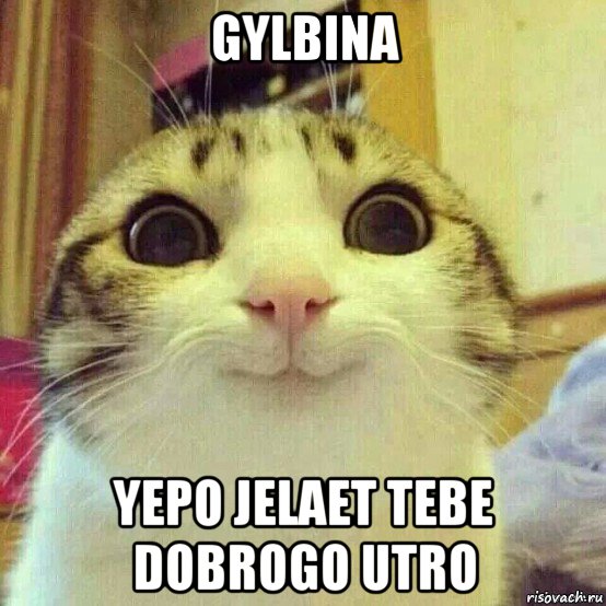 gylbina yepo jelaet tebe dobrogo utro, Мем       Котяка-улыбака