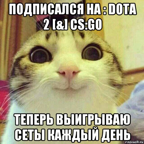 подписался на : dota 2 [&] cs:go теперь выигрываю сеты каждый день, Мем       Котяка-улыбака