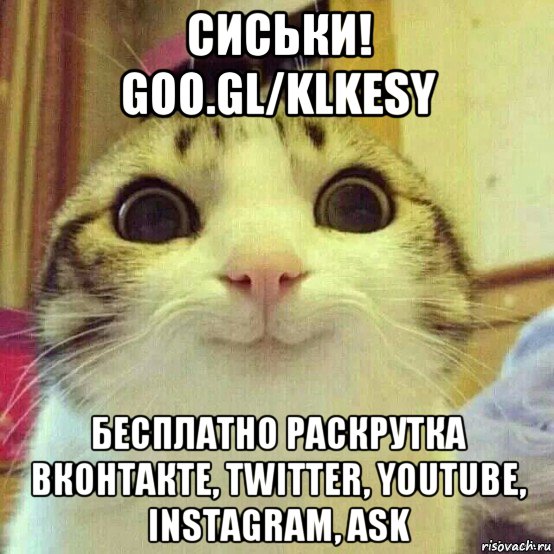 сиськи! goo.gl/klkesy бесплатно раскрутка вконтакте, twitter, youtube, instagram, ask, Мем       Котяка-улыбака