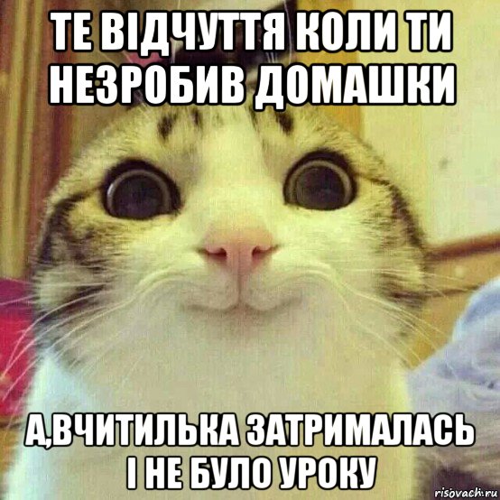 те відчуття коли ти незробив домашки а,вчитилька затрималась і не було уроку, Мем       Котяка-улыбака