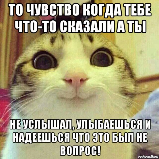 то чувство когда тебе что-то сказали а ты не услышал, улыбаешься и надеешься что это был не вопрос!, Мем       Котяка-улыбака