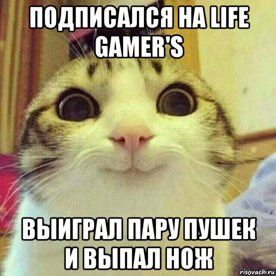 подписался на life gamer's выиграл пару пушек и выпал нож, Мем       Котяка-улыбака