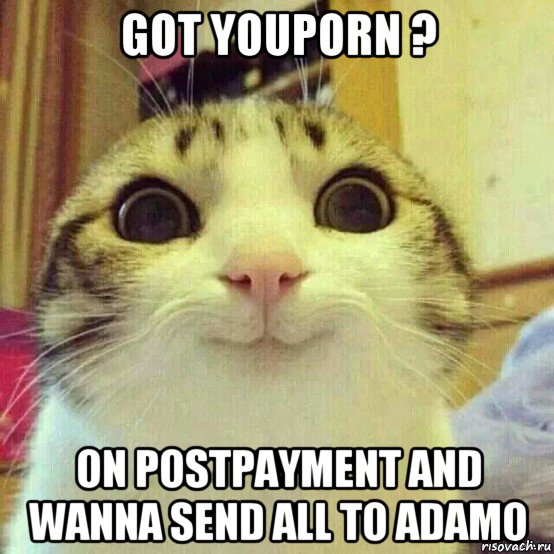 got youporn ? on postpayment and wanna send all to adamo, Мем       Котяка-улыбака