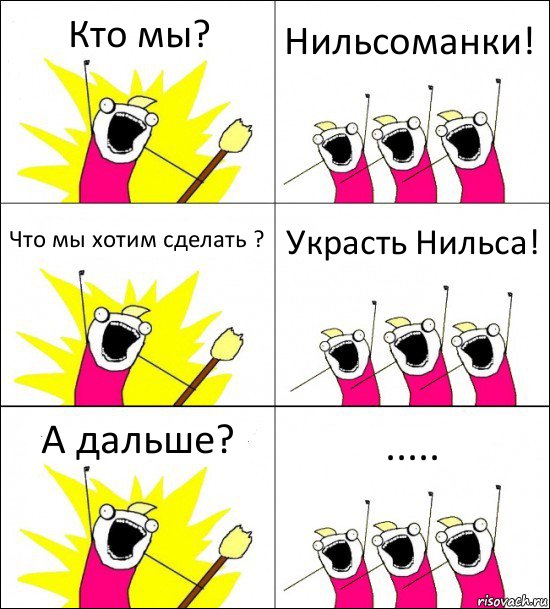 Кто мы? Нильсоманки! Что мы хотим сделать ? Украсть Нильса! А дальше? .....