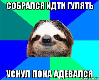 собрался идти гулять уснул пока адевался, Мем Ленивец