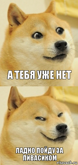 А тебя уже нет Ладно пойду за пивасиком, Комикс   DOGE довольный