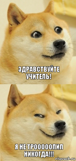 Здравствуйте учитель! Я не трооооолил никогда!!!, Комикс   DOGE довольный