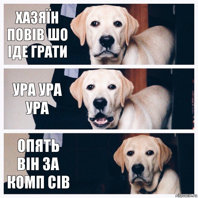 Хазяїн повів шо іде грати Ура ура ура Опять він за комп сів, Комикс Майк вещает