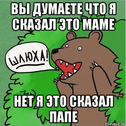 вы думаете что я сказал это маме нет я это сказал папе, Мем Медведь в кустах