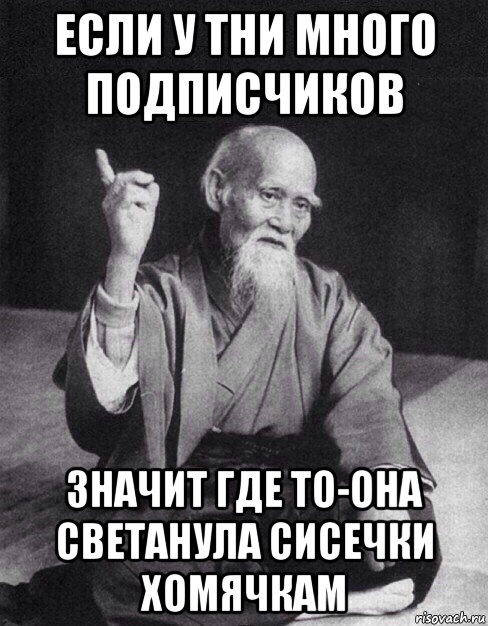 если у тни много подписчиков значит где то-она светанула сисечки хомячкам, Мем Монах-мудрец (сэнсей)
