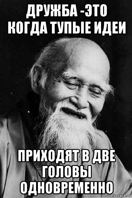 дружба -это когда тупые идеи приходят в две головы одновременно, Мем мудрец улыбается