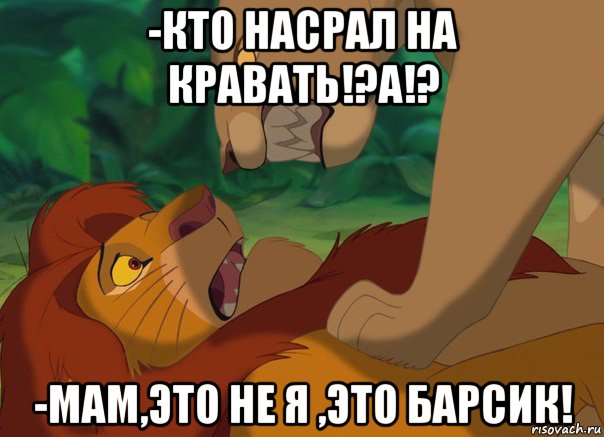 -кто насрал на кравать!?а!? -мам,это не я ,это барсик!, Мем Завалили