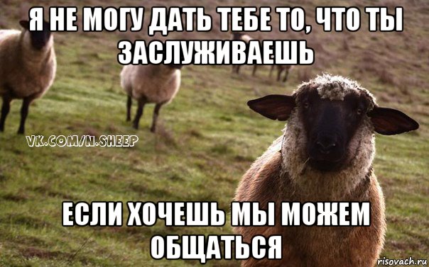 я не могу дать тебе то, что ты заслуживаешь если хочешь мы можем общаться, Мем  Наивная Овца