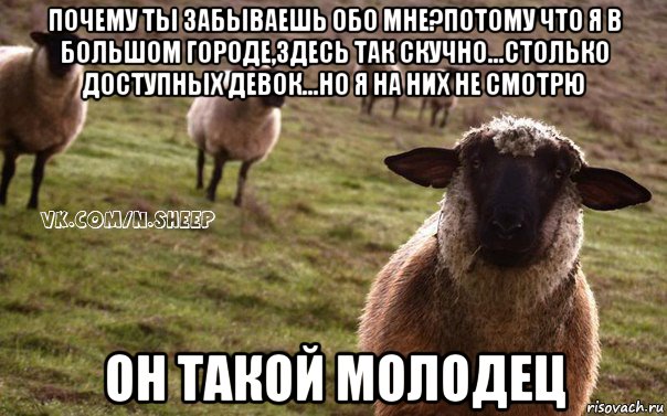 почему ты забываешь обо мне?потому что я в большом городе,здесь так скучно...столько доступных девок...но я на них не смотрю он такой молодец, Мем  Наивная Овца