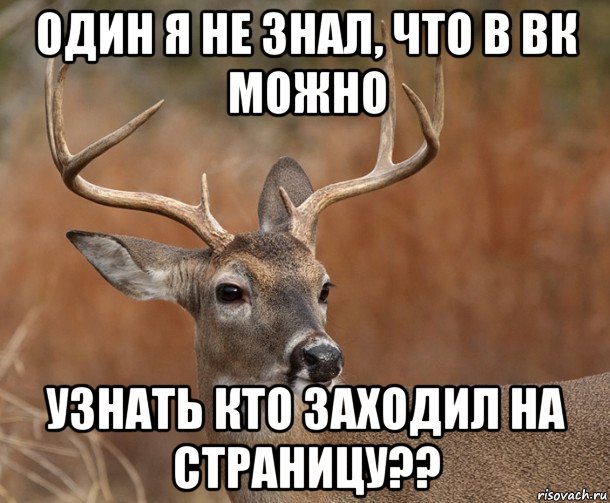 один я не знал, что в вк можно узнать кто заходил на страницу??, Мем  Наивный Олень v2