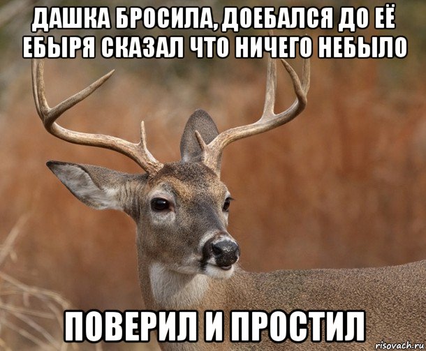 дашка бросила, доебался до её ебыря сказал что ничего небыло поверил и простил, Мем  Наивный Олень v2