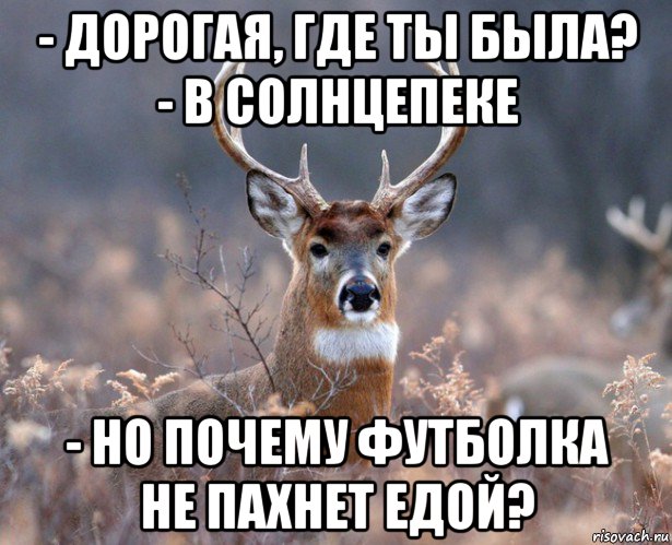 - дорогая, где ты была? - в солнцепеке - но почему футболка не пахнет едой?, Мем   Наивный олень