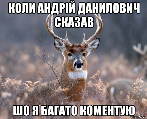 коли андрій данилович сказав шо я багато коментую, Мем   Наивный олень