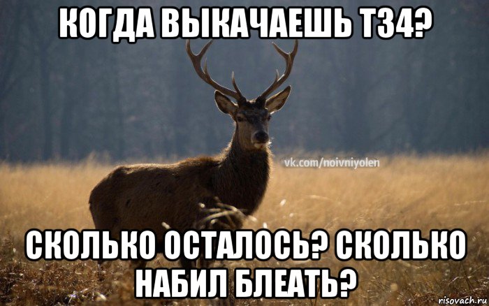 когда выкачаешь т34? сколько осталось? сколько набил блеать?, Мем Наивный Олень vk2