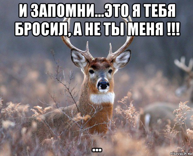 и запомни...это я тебя бросил, а не ты меня !!! ..., Мем   Наивный олень