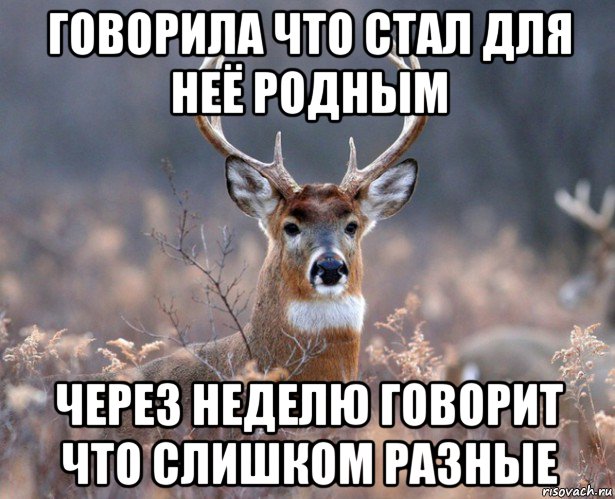 говорила что стал для неё родным через неделю говорит что слишком разные, Мем   Наивный олень