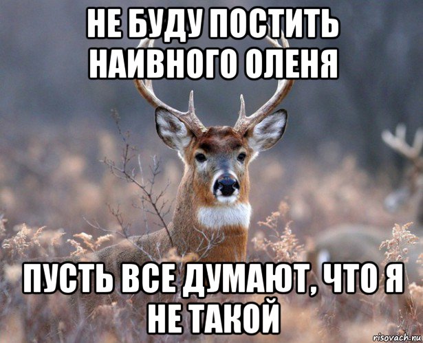 не буду постить наивного оленя пусть все думают, что я не такой, Мем   Наивный олень