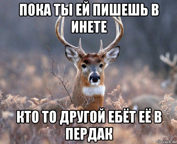 пока ты ей пишешь в инете кто то другой ебёт её в пердак, Мем   Наивный олень