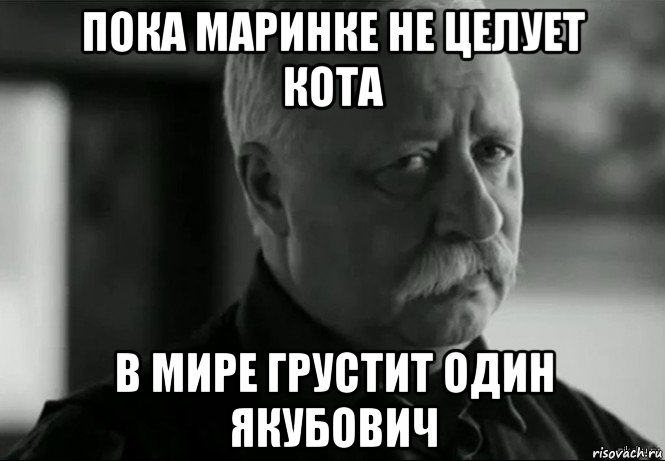 пока маринке не целует кота в мире грустит один якубович, Мем Не расстраивай Леонида Аркадьевича