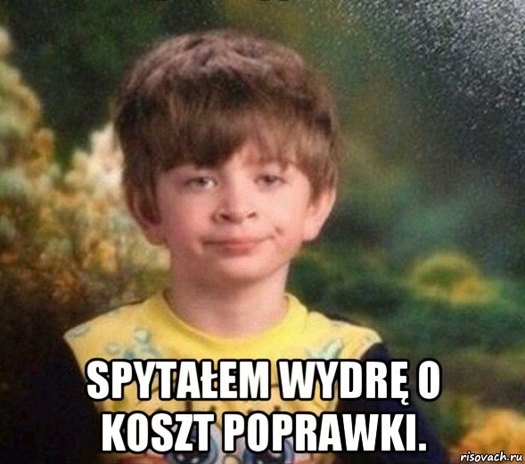  spytałem wydrę o koszt poprawki., Мем Недовольный пацан