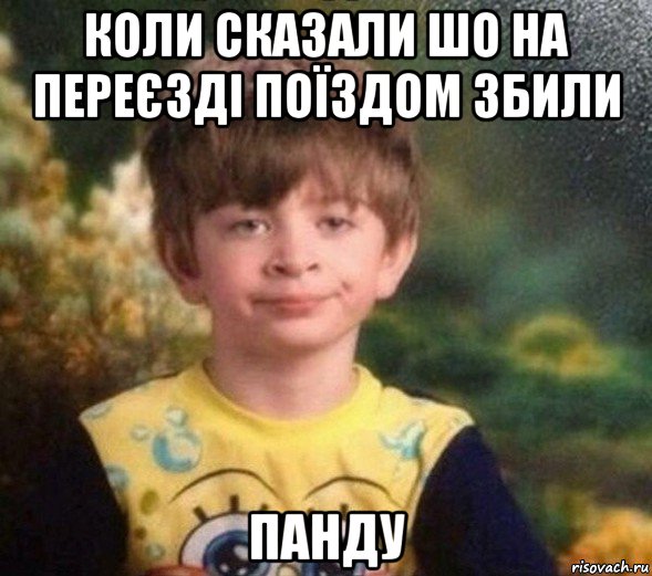 коли сказали шо на переєзді поїздом збили панду, Мем Недовольный пацан