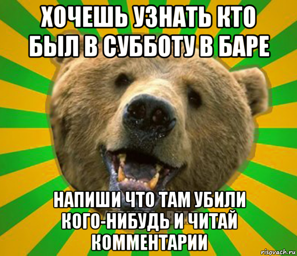 хочешь узнать кто был в субботу в баре напиши что там убили кого-нибудь и читай комментарии, Мем Нелепый медведь